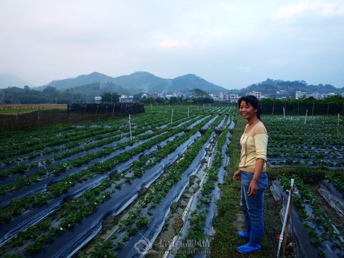 IMG-6543 (15).JPG