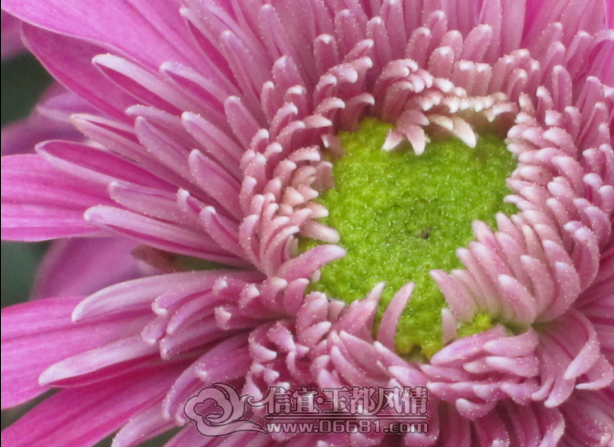 33.png