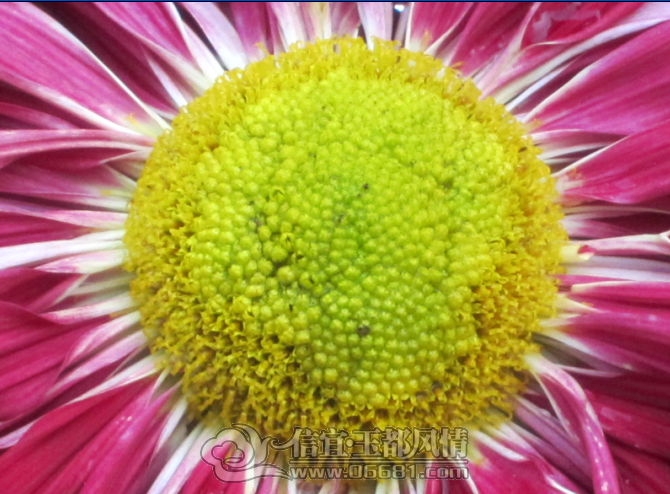 13.png