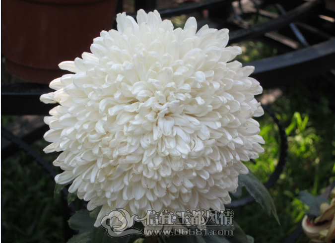 15.png
