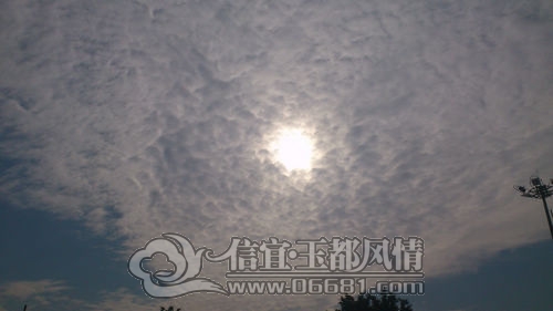 nEO_IMG_DSC_0150.jpg