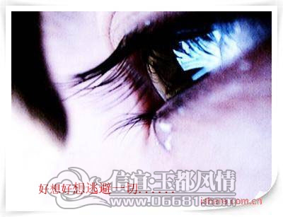 1b364db388a8e1b3d8335a6c����.jpg