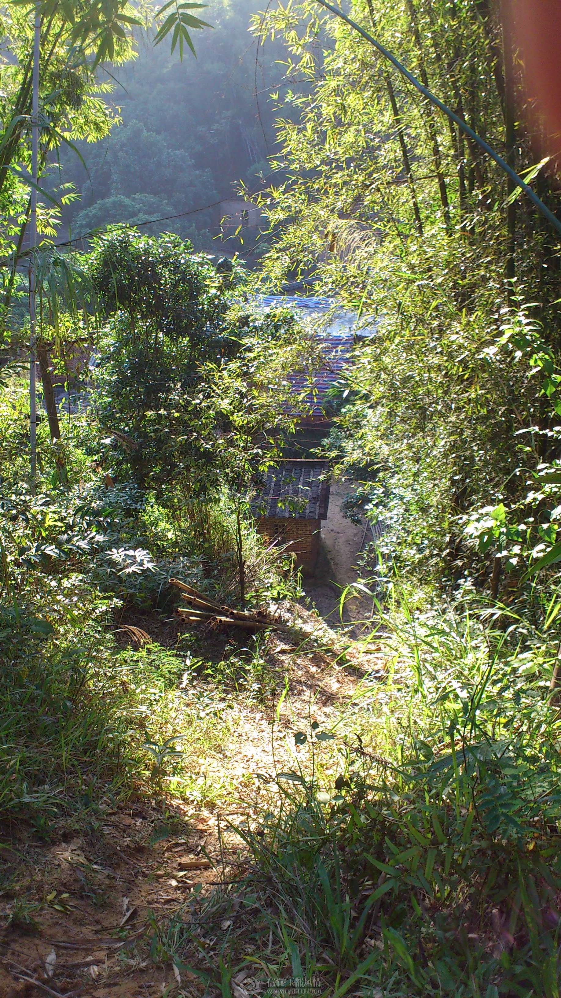 DSC_0111.JPG