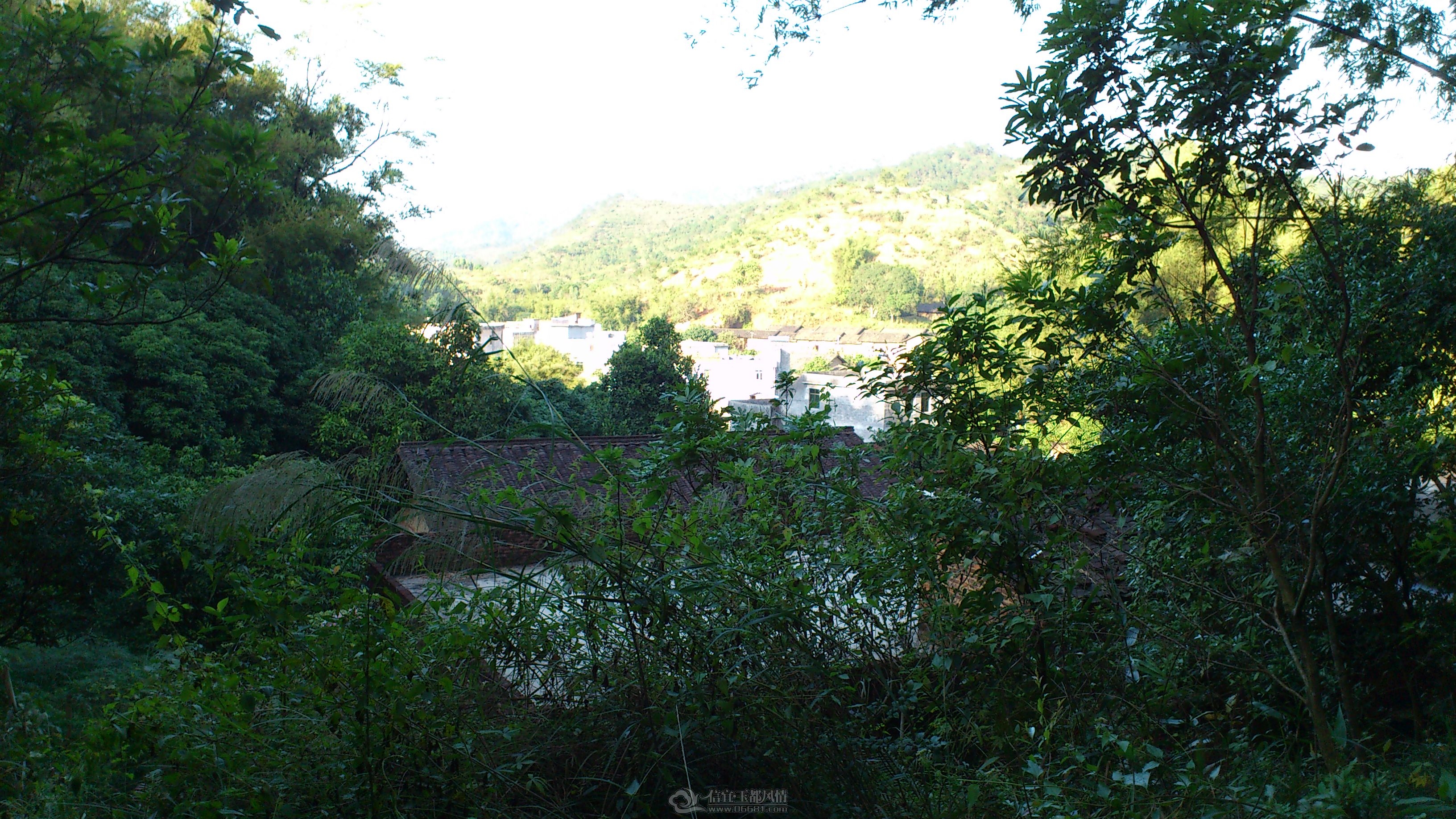 DSC_0110.JPG