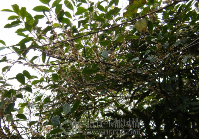 QQ��ͼ20121212202624.png