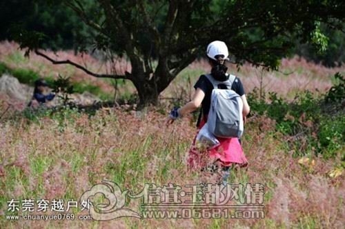QQͼƬ20121113��Y3915.jpg