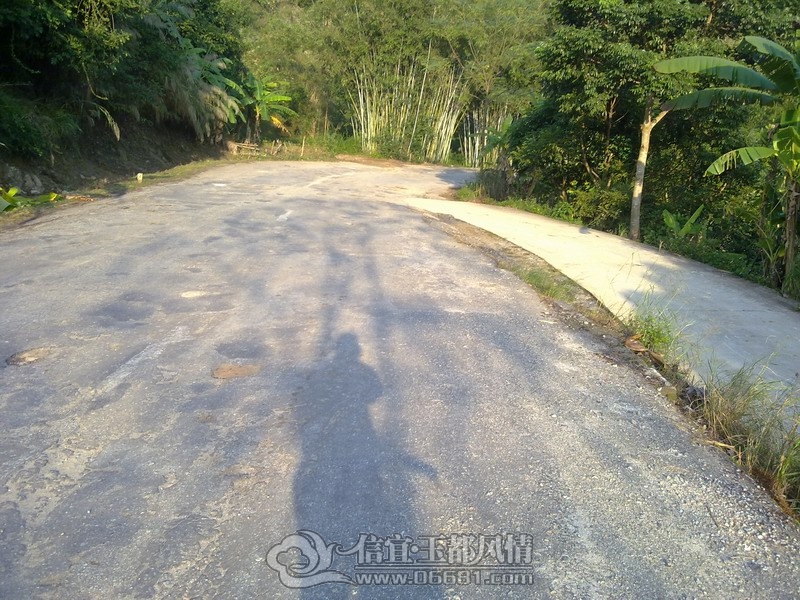 20121208845.jpg