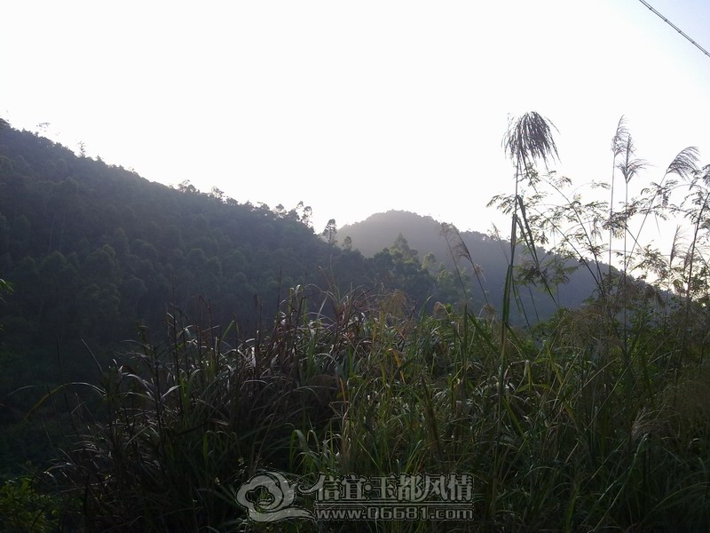 20121208848.jpg