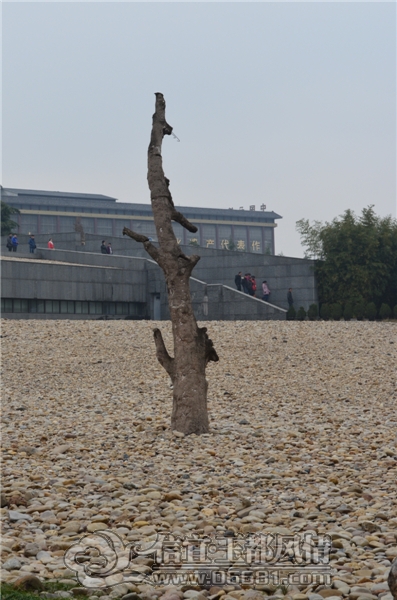 DSC_0008.jpg