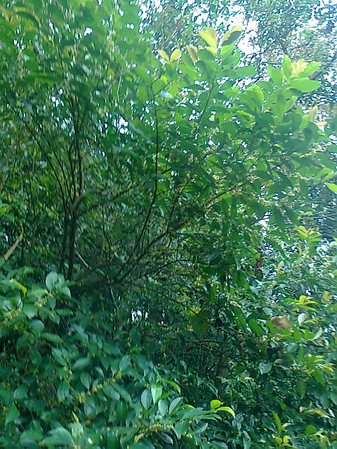 ��Ƭ0387.jpg