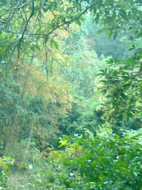 ��Ƭ0390.jpg