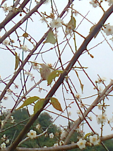��Ƭ0394.jpg