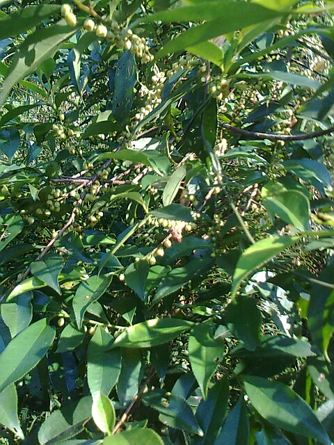 ��Ƭ0372.jpg