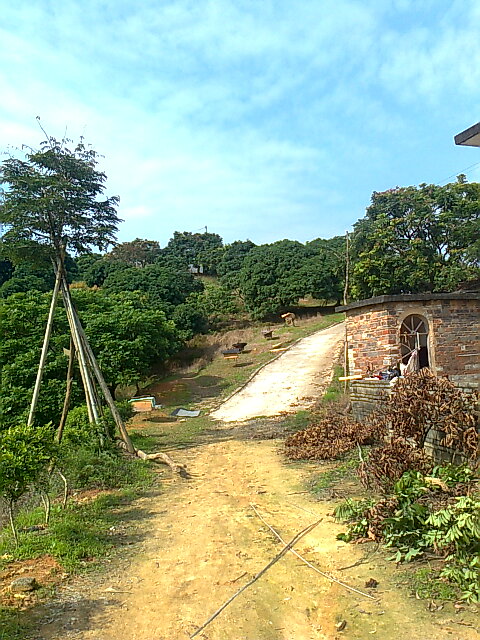 ��Ƭ0383.jpg