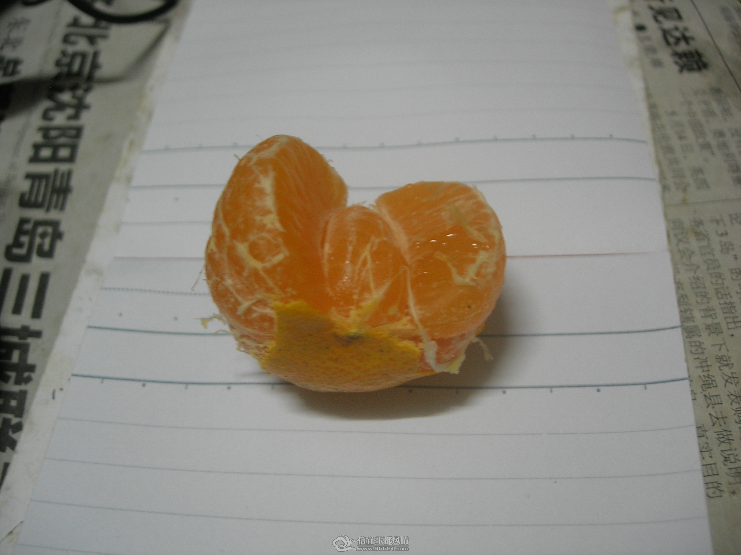 DSCN0082.JPG
