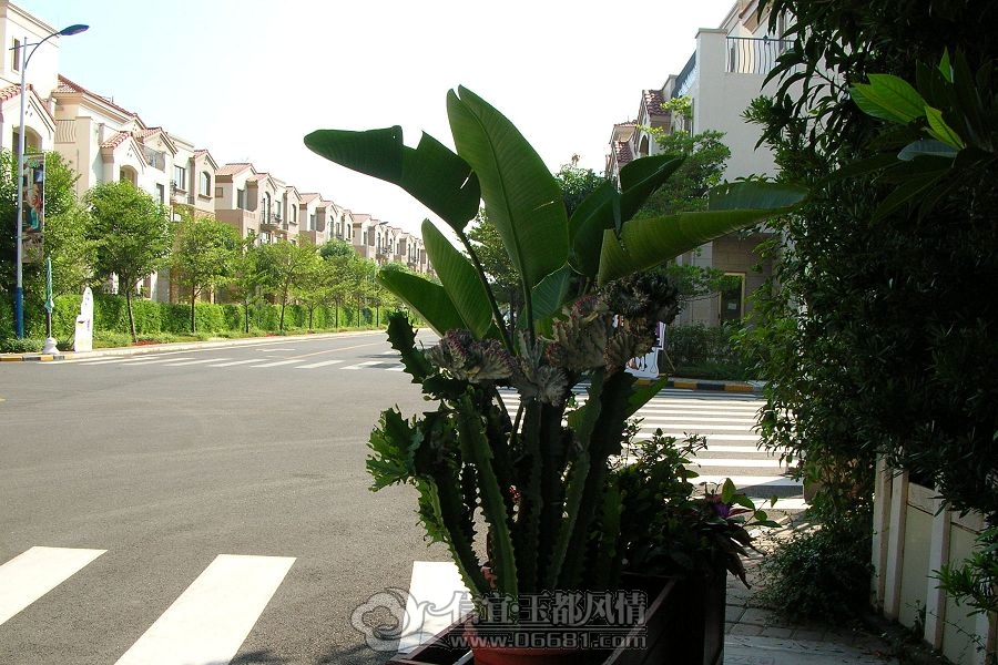 DSCN0629(001).jpg