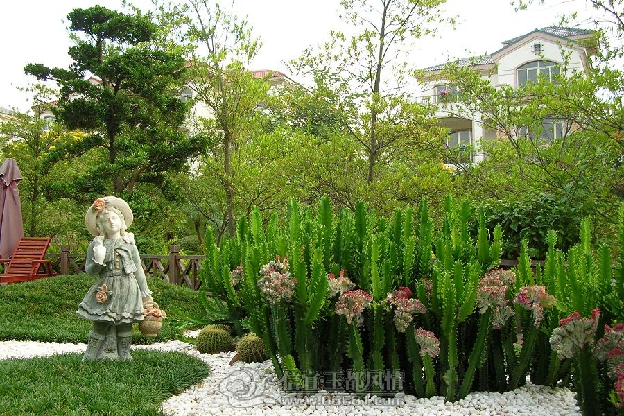 DSCN0684(001).jpg