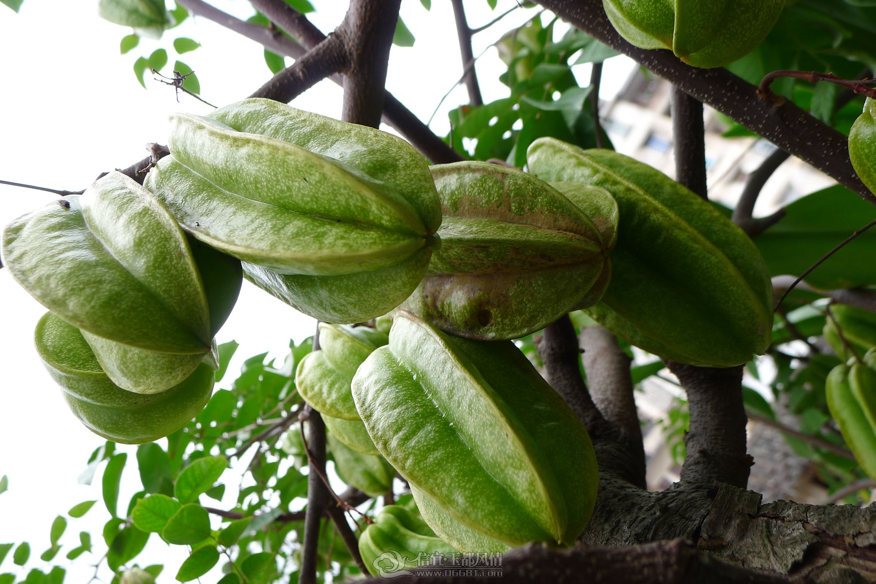 P1040632.JPG