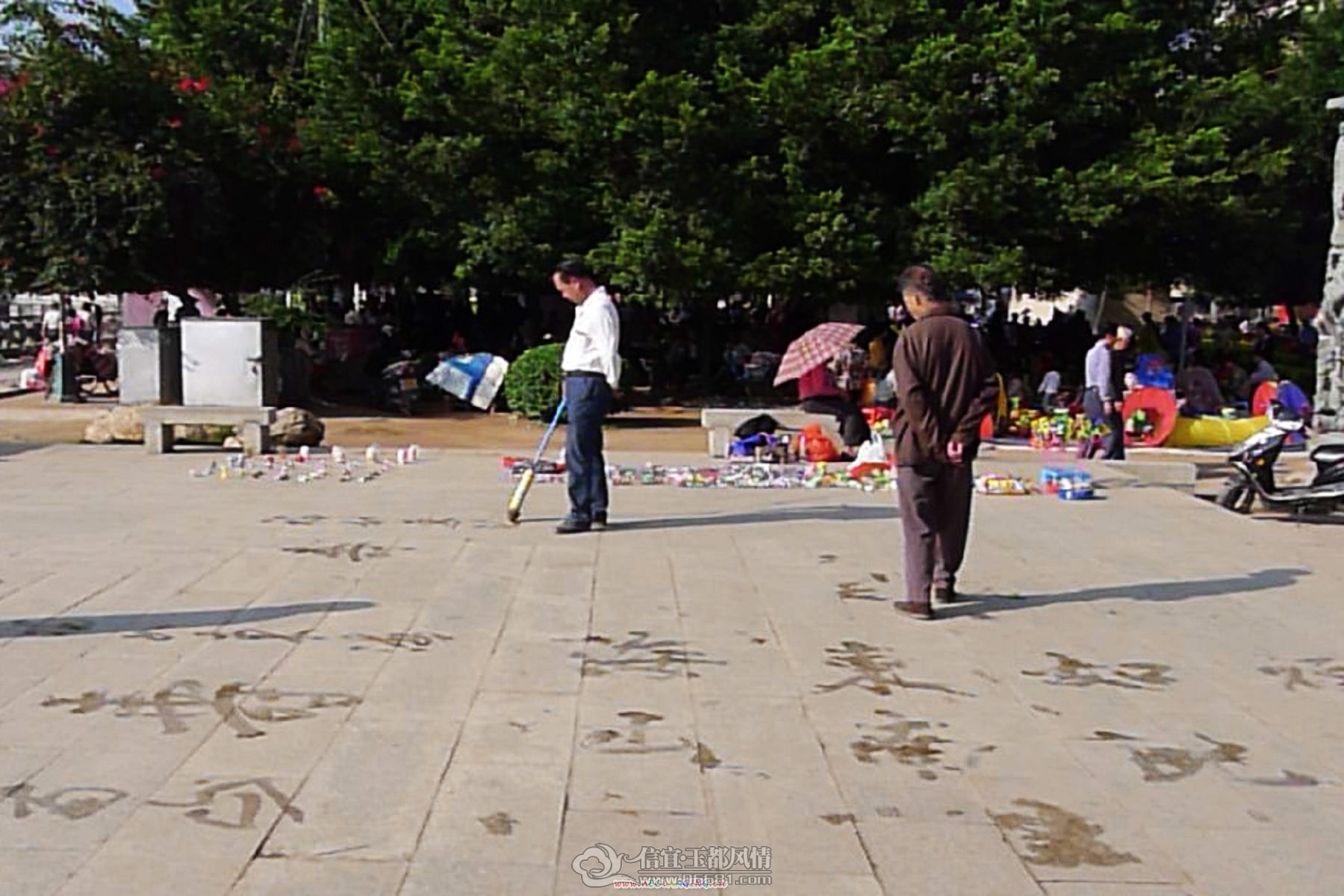 P1040646.JPG
