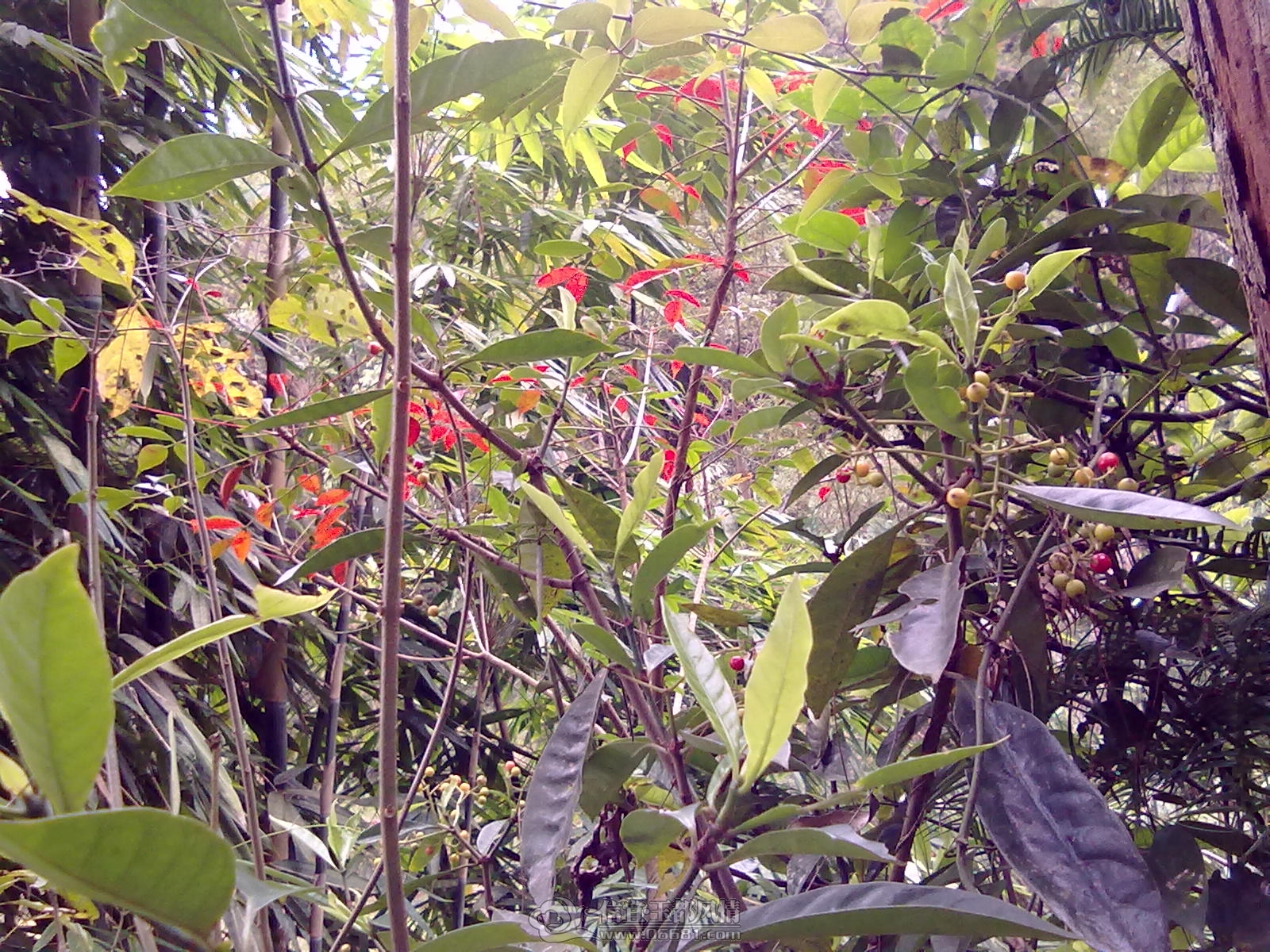 201212151181.jpg