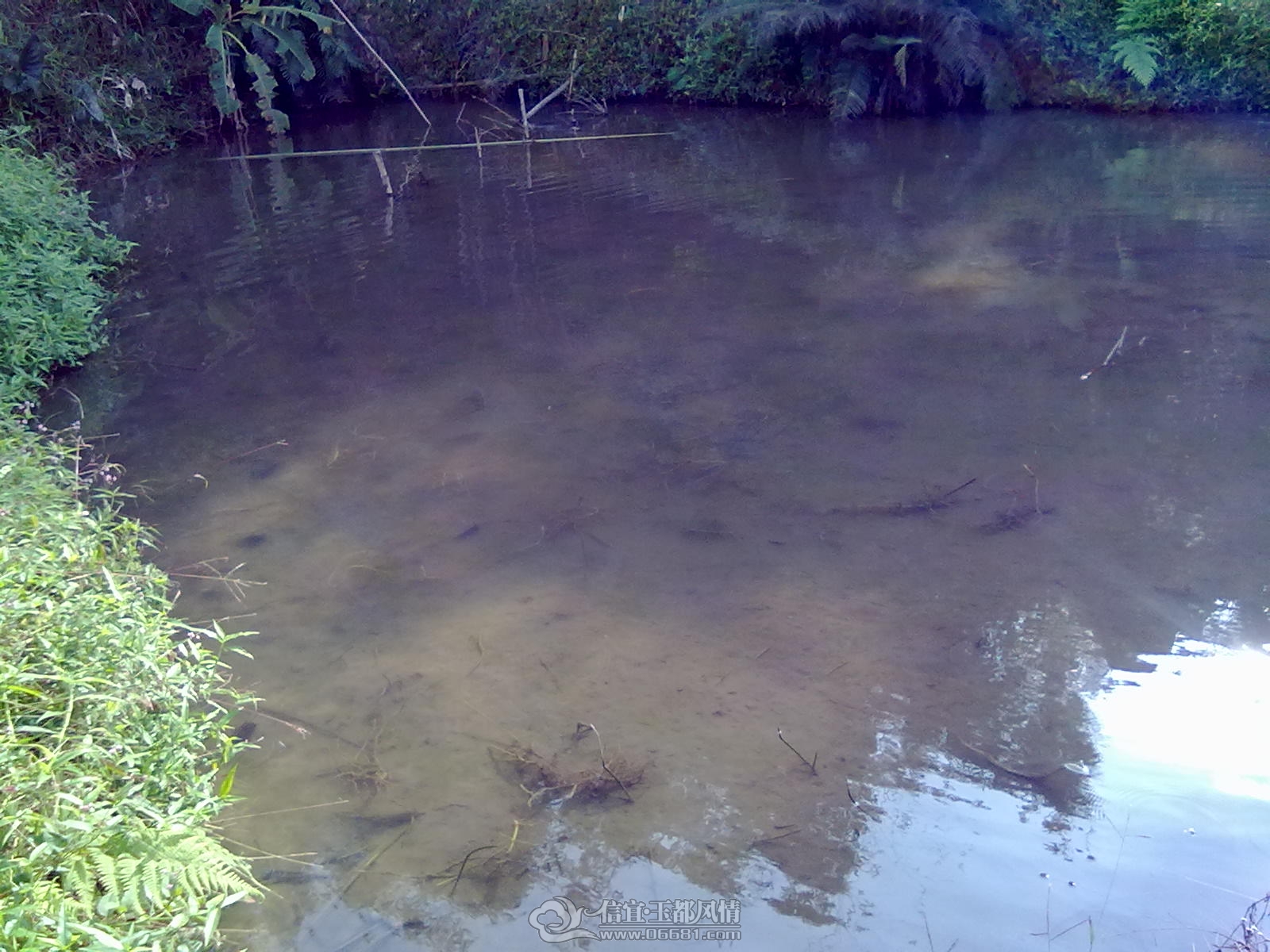 201212151185.jpg
