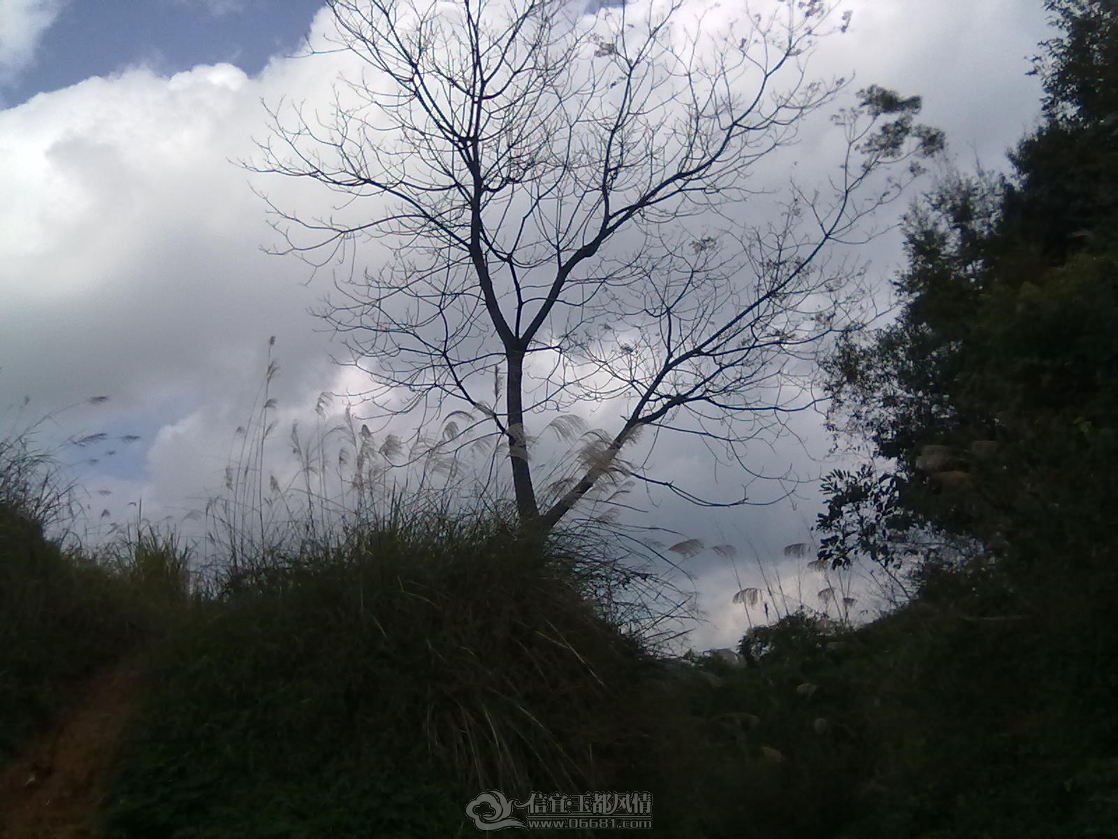 201212151175.jpg