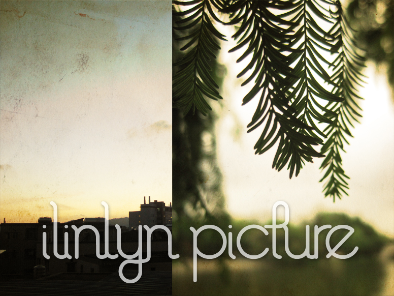 ilinlyn l25.jpg