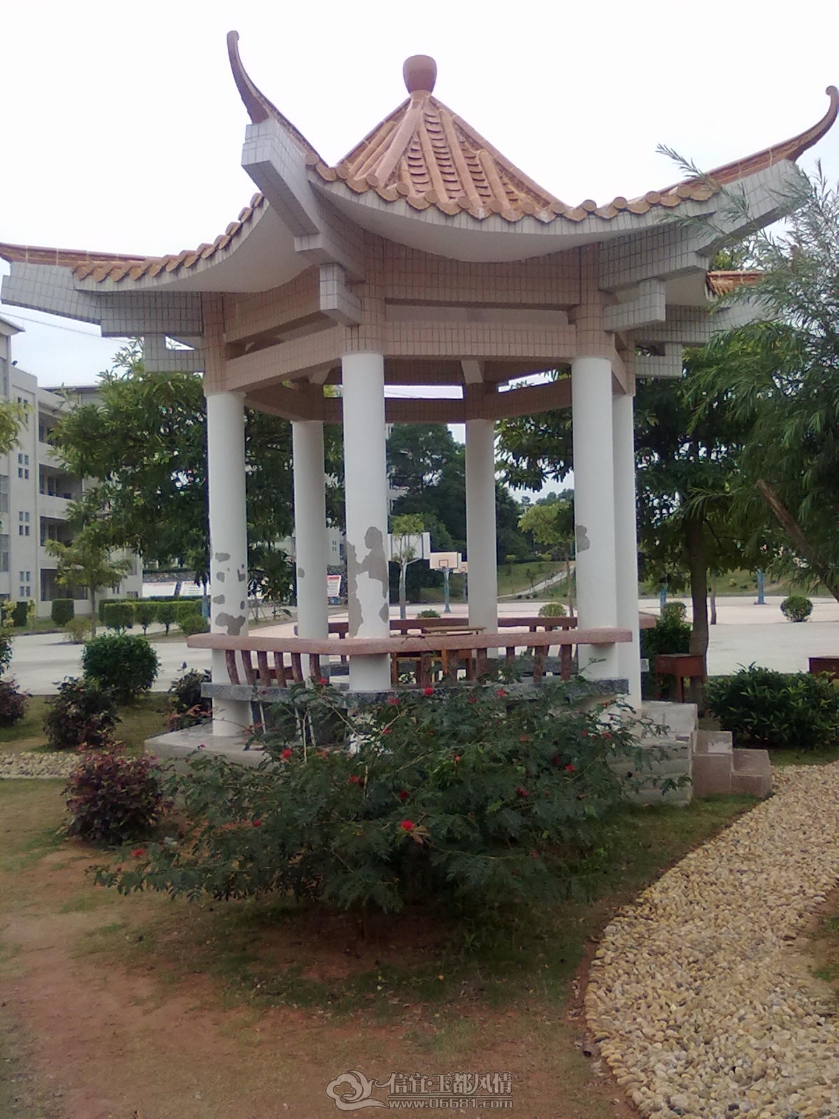 20121206260.jpg