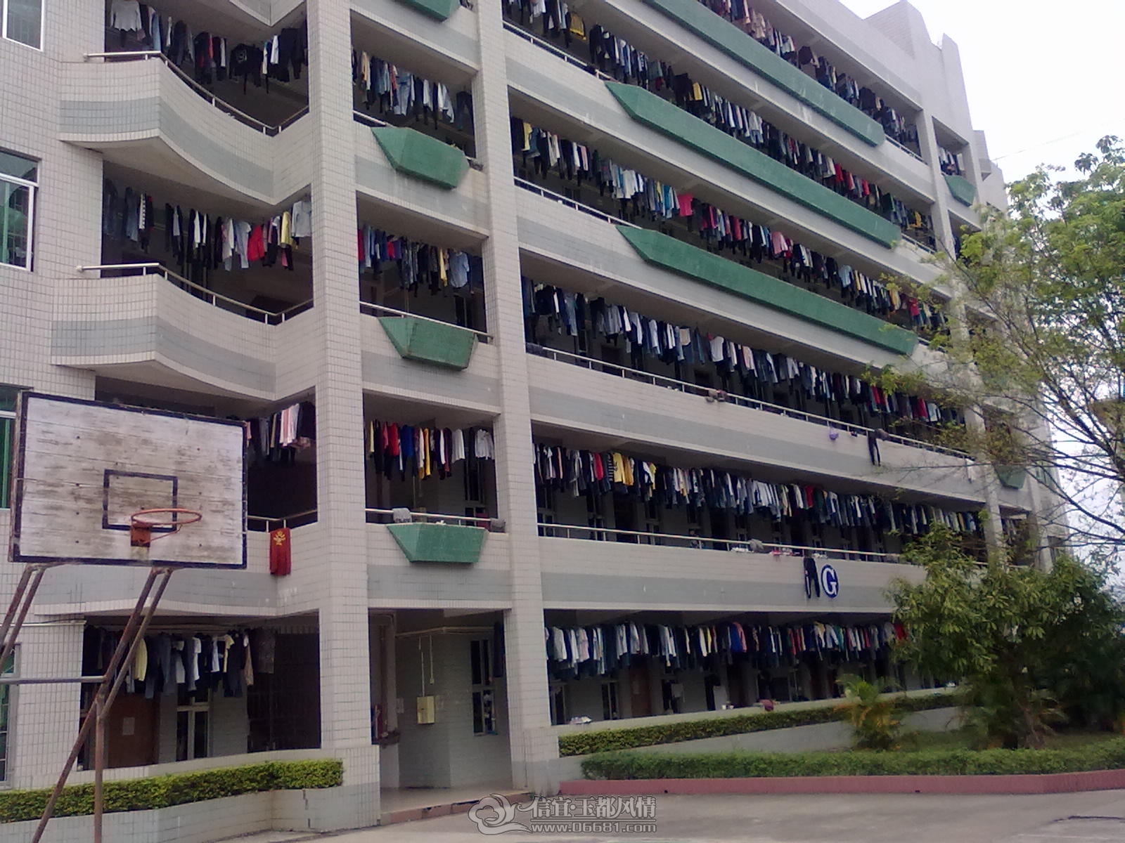 20121206283.jpg