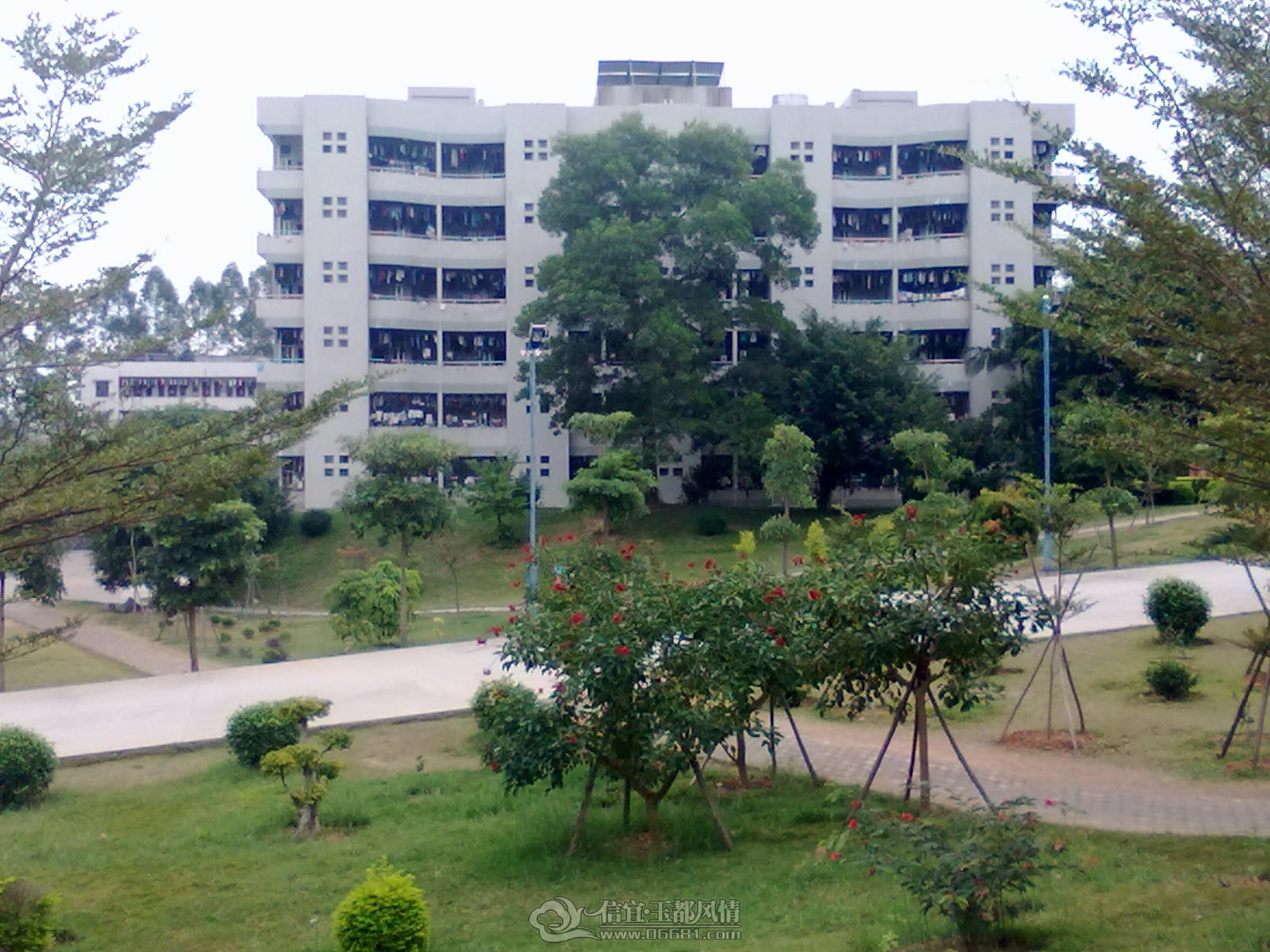20121206305.jpg