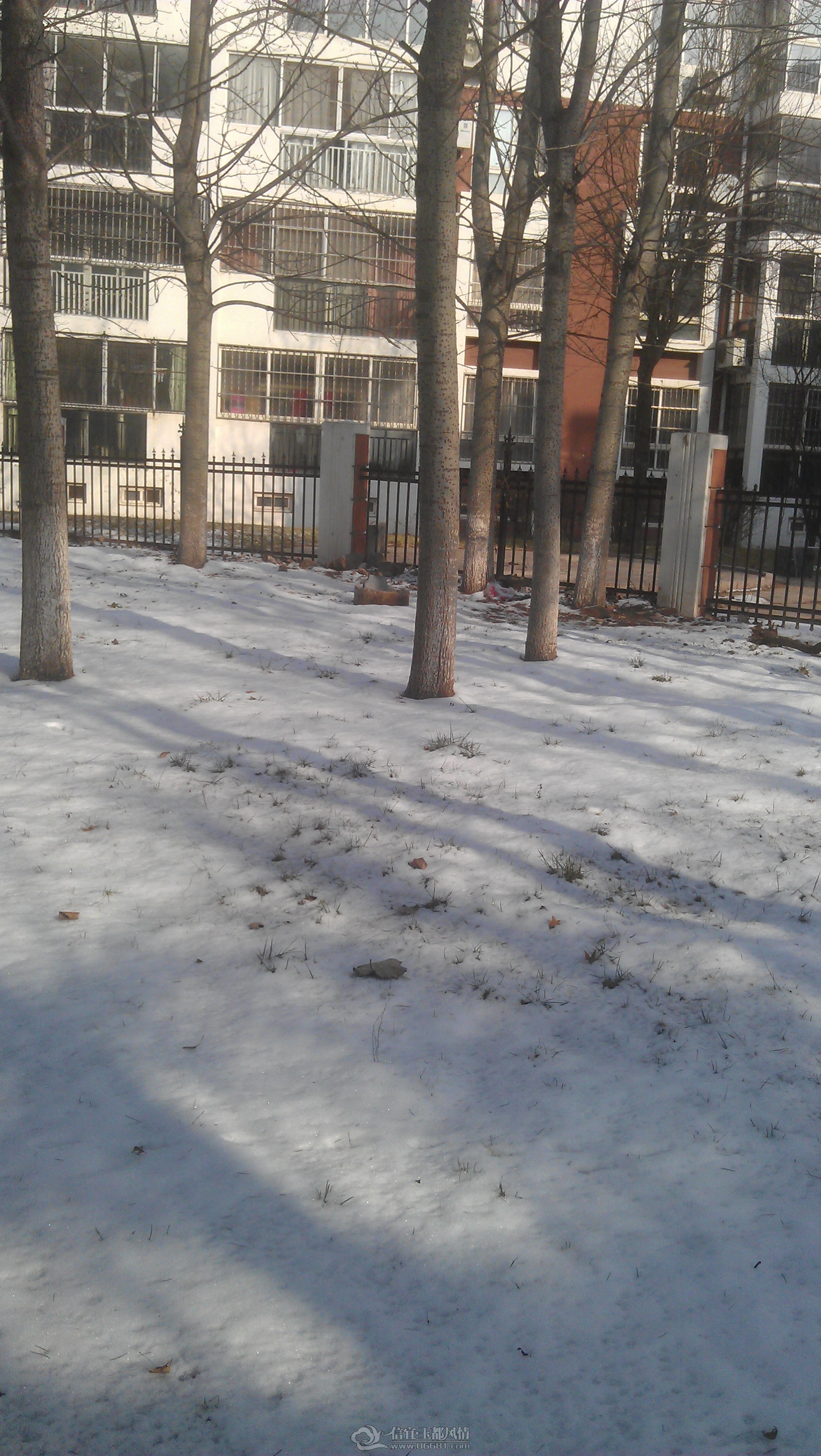 IMAG0209.jpg