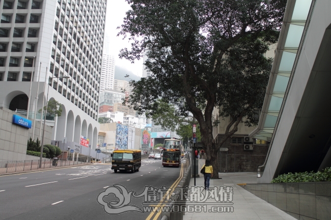 DPP_0169.JPG
