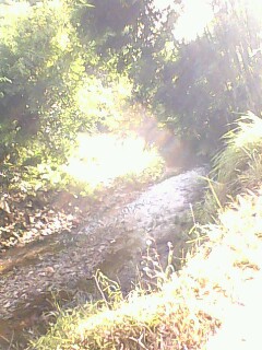 IMG0732A.jpg