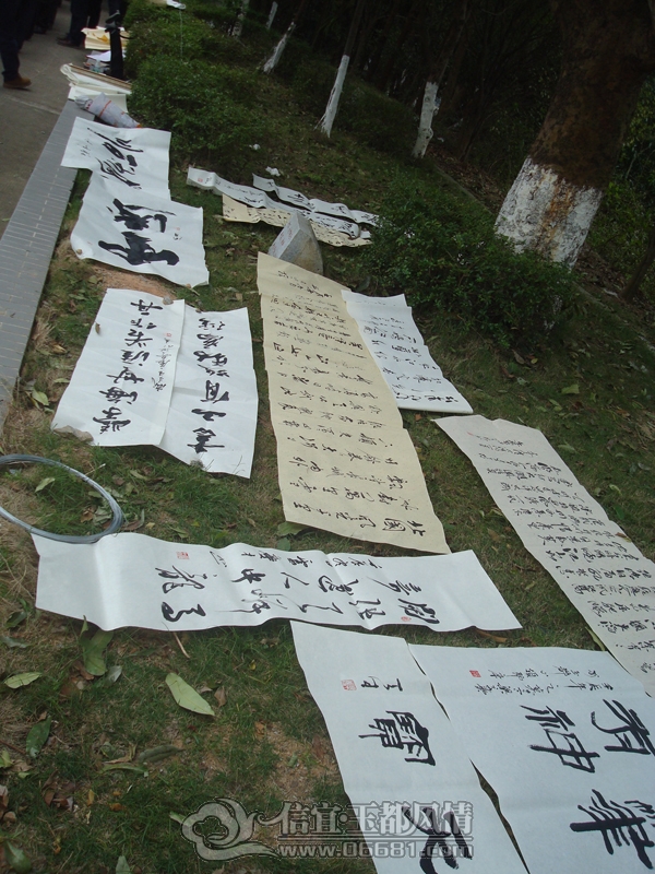 ��ƷSC02243.jpg