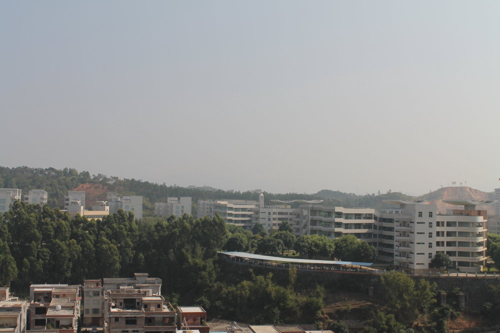 DPP_0010.JPG