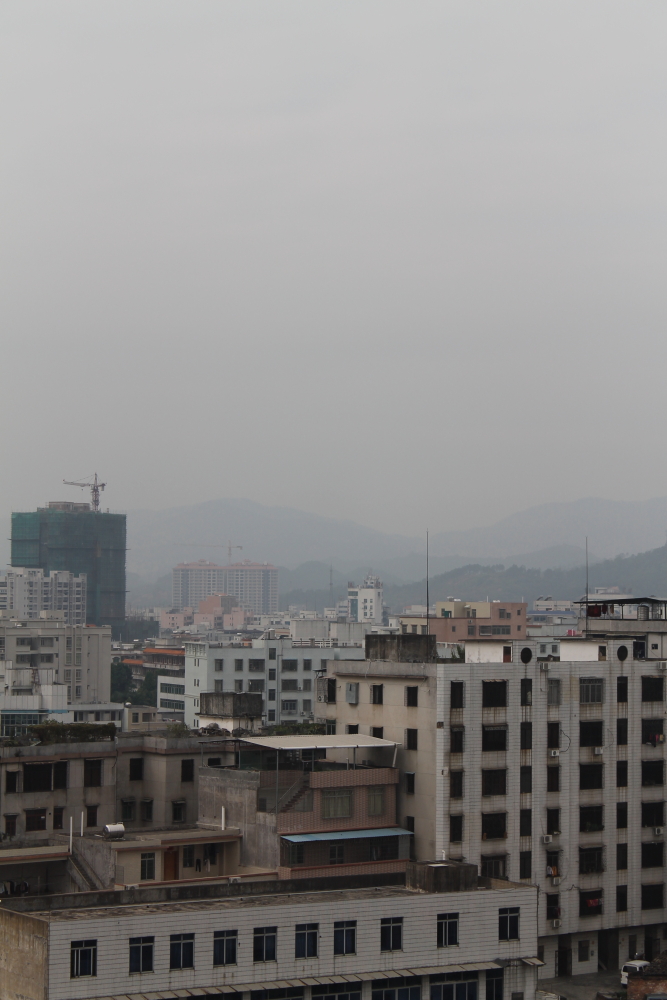 DPP_0010.JPG