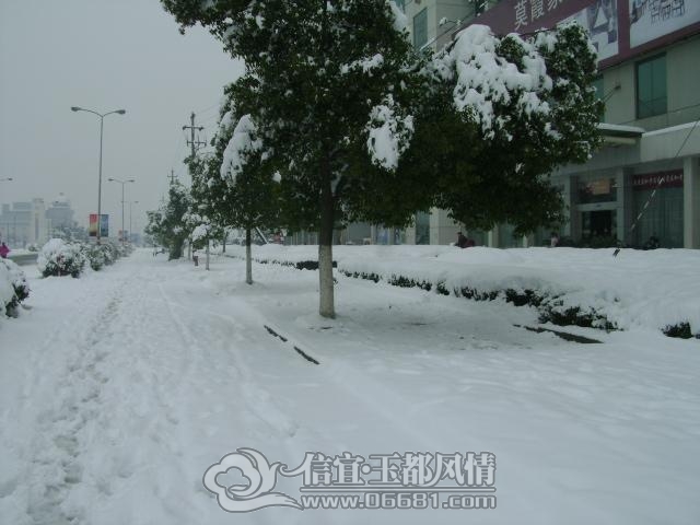 DSC08961.JPG