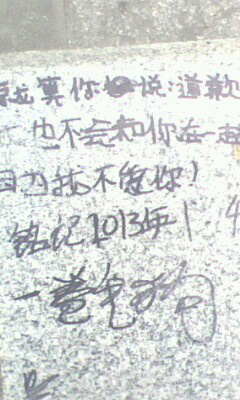 IMG0037A.jpg