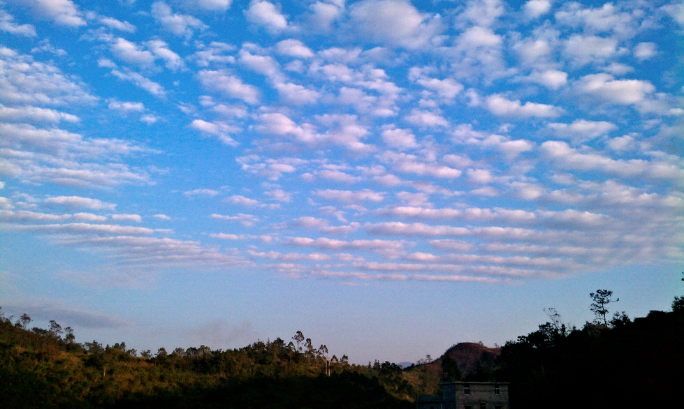 IMAG0003.jpg