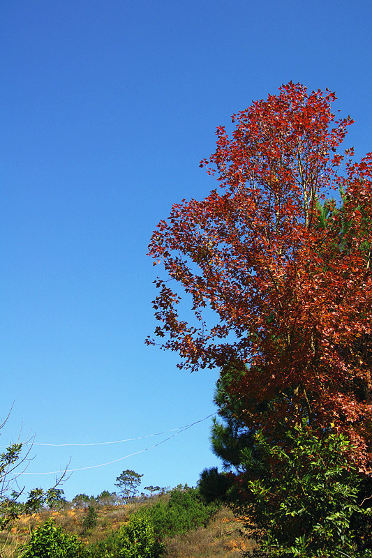 IMGP1273_����.jpg