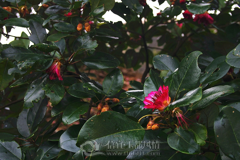 IMGP1080_����.jpg