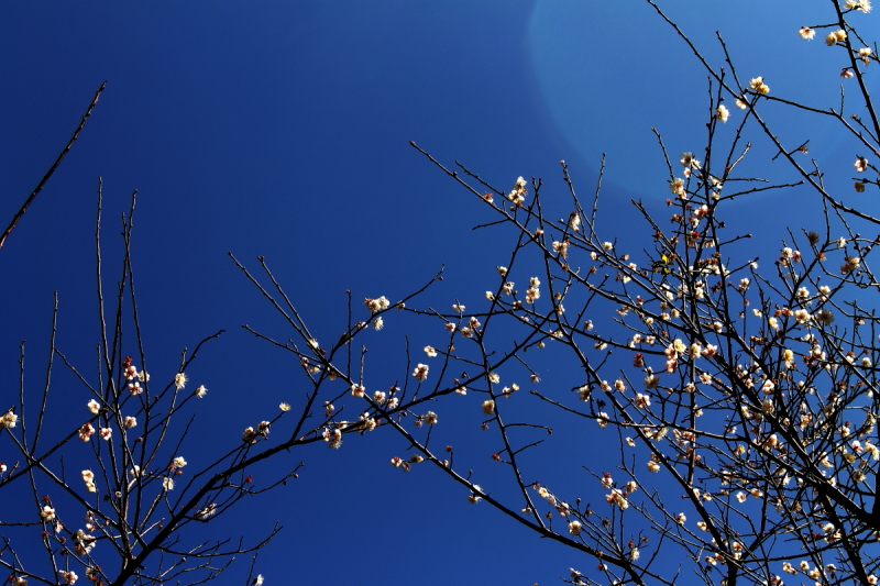 DPP_0020.JPG