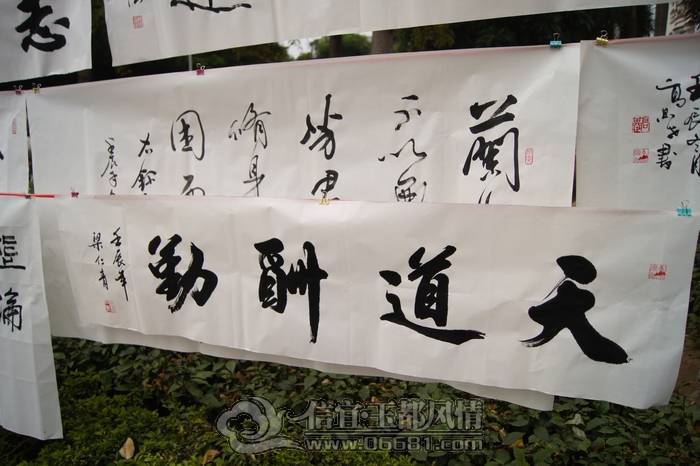 DSC01211.JPG