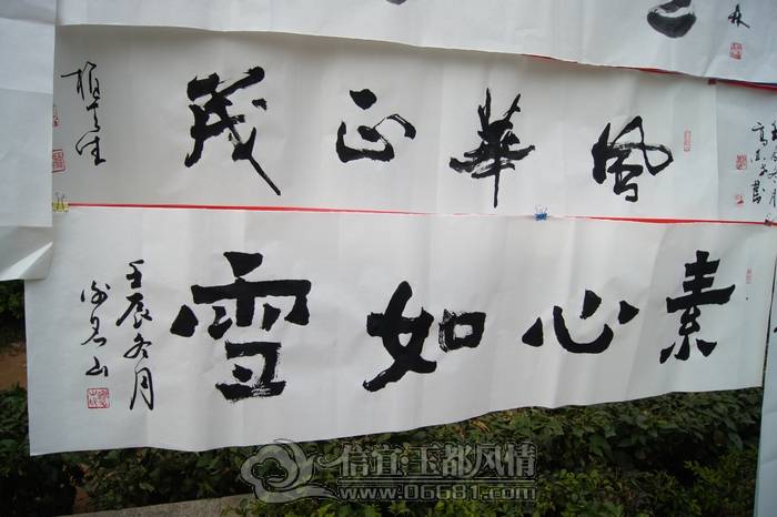DSC01206.JPG