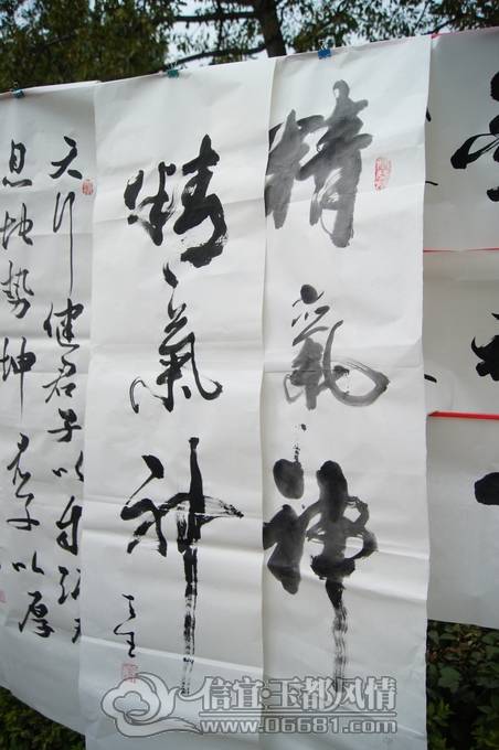 DSC01203.JPG