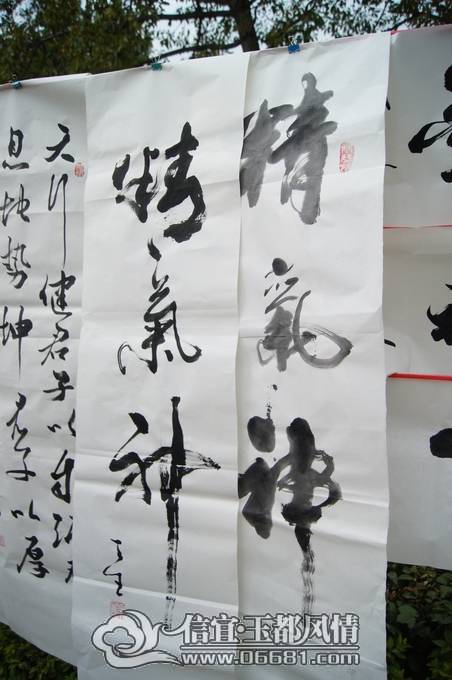 DSC01203.JPG