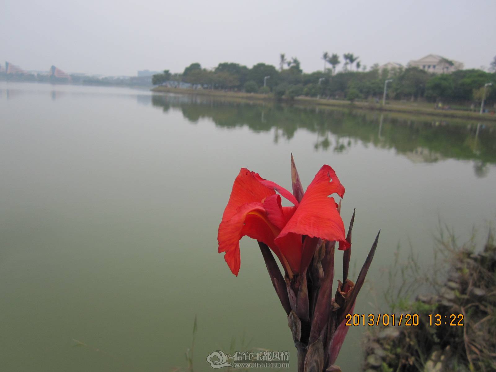 IMG_4534.JPG