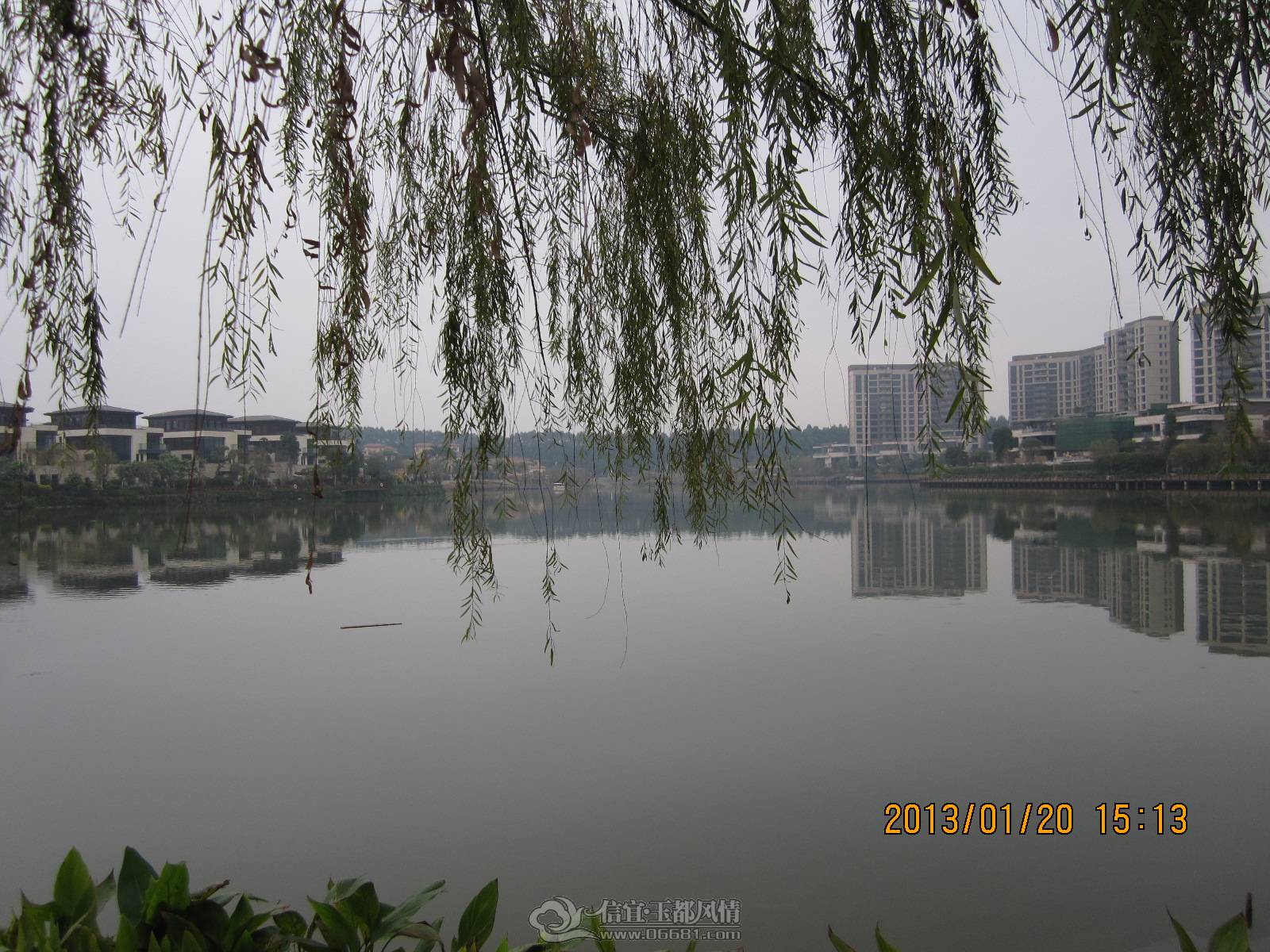 IMG_4550.JPG