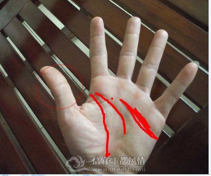 ����̳��������ҵ���ˮ�����໮�˹�