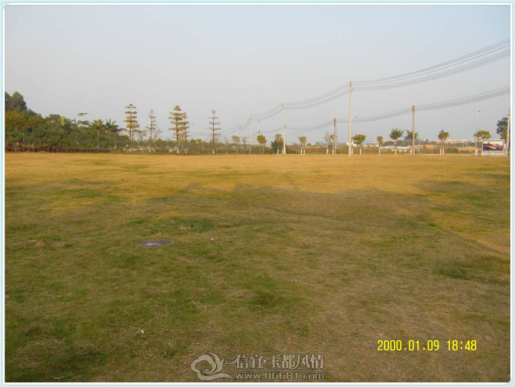 SDC10712.jpg